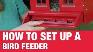 How To Set Up A Bird Feeder - Ace Hardware