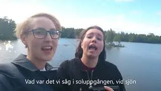 #Grubbeskolan #Umeå #Sverige LALEH - Goliat (Lyric video with fans)