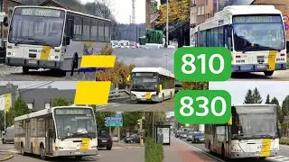 LIGNE : Bus 810 et 830 De Delijn 