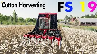 #Farmingsimulator19 #FS19 Cotton Harvesting