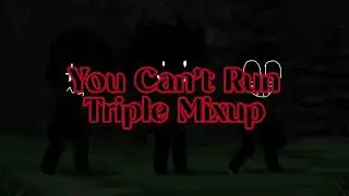 You Can't Run Triple Mashup