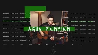 Adriana Calcanhotto - &Aacute;GUA PERRIER - #14 (MINHA M&Uacute;SICA MUSICAL)