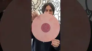 Unboxing The Lemon Twigs new album! #vinyl #vinylcommunity #indielabel