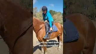 Horse care tips How to check and adjust your girth while mounted. #horsecaretips #pony #horse