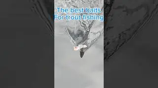 The best baits for trout fishing&hellip; #fishing #troutfishing