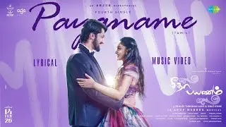 Payaname - Lyrical | Seetha Payanam (Tamil) | Niranjan, Aishwarya | Arjun | Anup Rubens