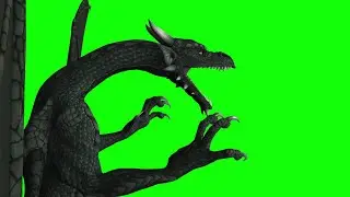 Flying dragons pack- Motions green screen effects - chroma key - animations - Effects - VideoHD 1080