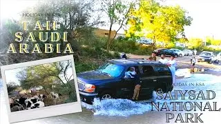 Amazing Taif | Natural water stream | Saiysad National Park Valley| وادي سيسد الطائف