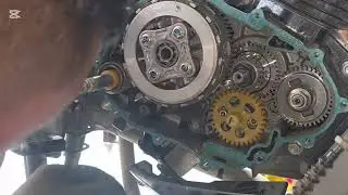 Hero Xtreme 125 gear relax. 