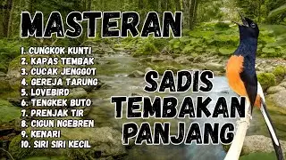 🔴 GACOR SADIS MENTAL KUAT MASTERAN MURAI BATU GACOR