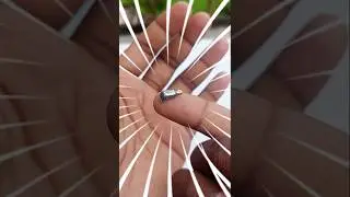 Mobile Vibration Motor