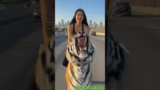 || BEAUTIFUL😍GIRL VIRAL SHORTS💕RIDING BIG FAT TIGER 🐯ON THE HIGHWAY ||