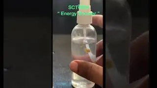 sct vedik