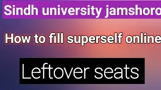 How to fill leftover seats online |Sindh university jamshoro |Online form submit| 2k21 program