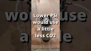 How much CO2 is used to flush a full 19L keg? Is it worth it? Yes it is! Unless you hate fresh hops!