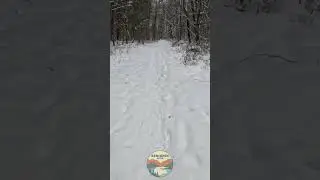 Short 7 | Luton Park&rsquo;s BLUE TRAIL in the SNOW | #shorts #lutonpark #kentcountyparks #winterhike