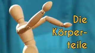 Die Körperteile | Частите на тялото на немски език
