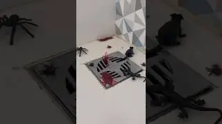 Como evitar que baratas 🪳 e insetos 🐜 entre pelo ralo #dicas #diy #casa #donasdecasa #ralo
