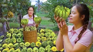 Harvesting Rare Buddha&rsquo;s Hand Fruit &ndash; Exotic Aroma & Market Selling Day | Mu Spring Life🌿🍋