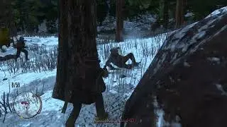 Cabin Fevor