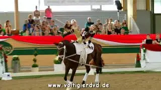 Kieran Halliday (AUS) - FEI Junior WC Ebreichsdorf 2017 - Male 23