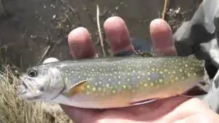 Confluence Casting