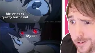 𝘏𝘌𝘕𝘛𝘈𝘐 MEMES (Unexpected Interruptions Edition)