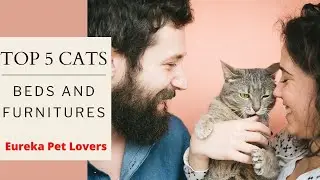 Top 5 cat beds and furniture's | Amazon | Video | Review