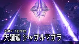 【MHRiseS/BGM】天廻龍シャガルマガラ戦闘