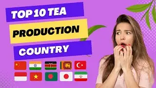 Top 10 Tea Production Country in World