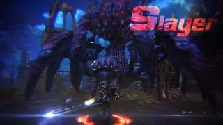 Slayer 27 lvl - Solo BAM 