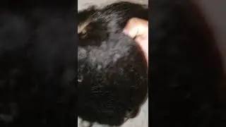 Terristylez Unit ..unboxing