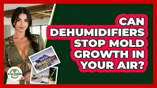 Can Dehumidifiers Stop Mold Growth In Your Air? - Eco Home Blueprint