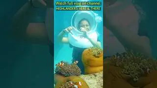 Sea walk in Andaman, #shorts #youtubeshorts  #shortvideo