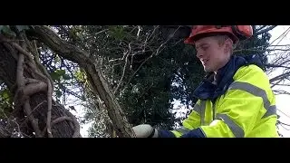 Countryside Management, Environmental Conservation