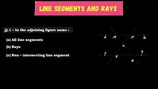 In the given figure name| All line segments  | Rays | Non intersecting line segment |