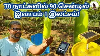 இயற்கை முறை தெரிந்தால் சுரைக்காயில்  இலாபம் 1 இலட்சம்! #உழவனின்ராஜா