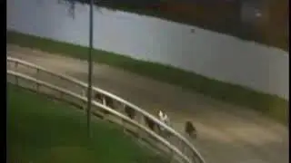 IGB - www.barkingbuzz.ie  01/10/2019 Race 7 - Tralee