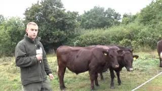 Flora and Fauna on Ashtead Common
