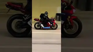 600cc or 1000cc - What Should You Pick?