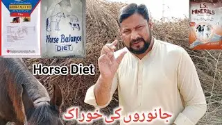 Cheapest & Easy Horse Feed in Pakistan || Desi Ghodi Ki Khurak || Pak Pet Lovers