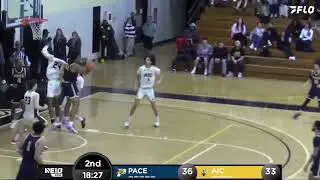 Pace University vs American International Men's
