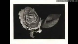 David Candy - Rosemary's Baby Theme