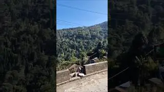 Darjeeling Trip with Friends | Dil na Diya Edit