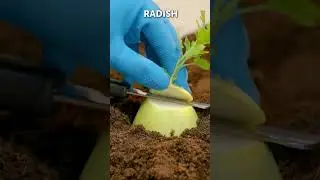 Useful gardening hacks for plant lovers!