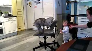 fritidspedagog