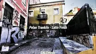 Pelao tranquilo - Lat&iacute;n fresh (letra)