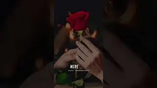 Happy Rose Day 🌹 7 February 2023❤️🌹