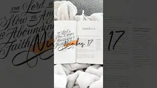 Numbers 17 illustrated Bible story #bible #inthisrace #god #numbers17 #jesus #christian