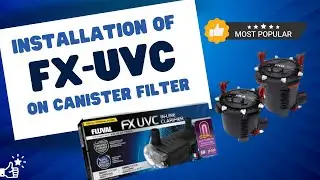 SETTING UP AN FX UVC CLARIFIER | Installation on FX Series Filter Cover